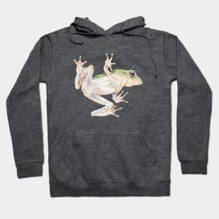 Frog Ascending Hoodie